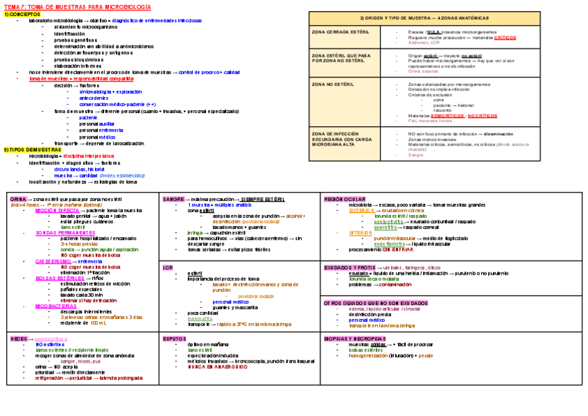 Miniatura del documento ESQUEMA-TEMA-7-MICRO.pdf
