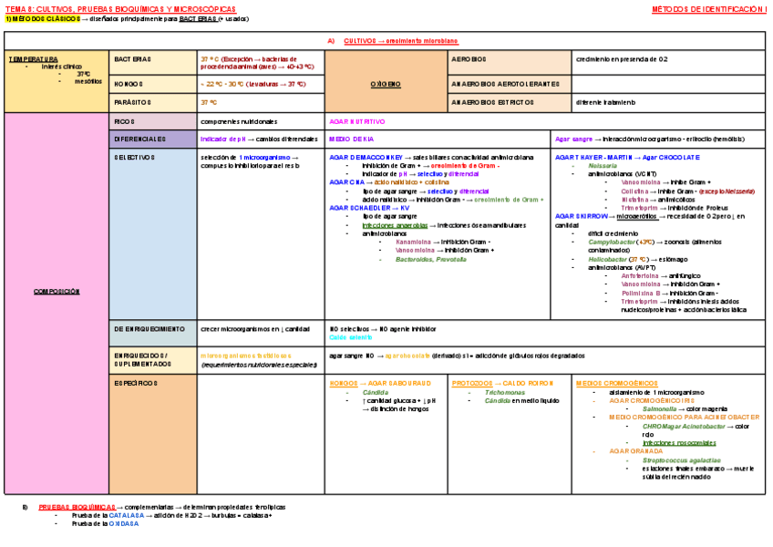 Miniatura del documento ESQUEMA-TEMA-8-MICRO.pdf