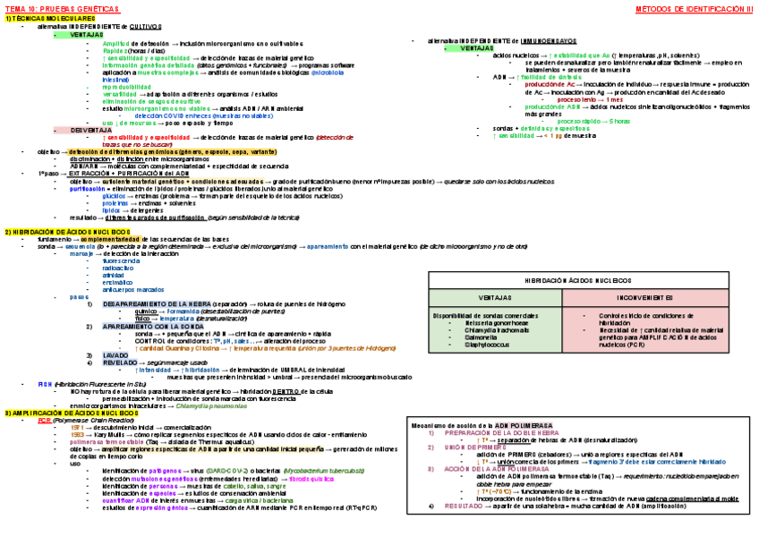 Miniatura del documento ESQUEMA-TEMA-10-MICRO.pdf
