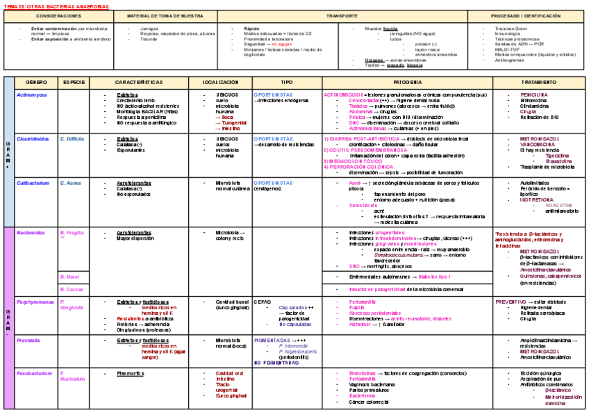 Miniatura del documento ESQUEMA-TEMA-23-MICRO.pdf
