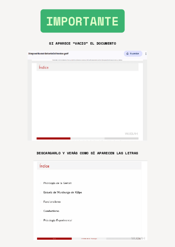 Miniatura del documento HistoriaApuntes.pdf