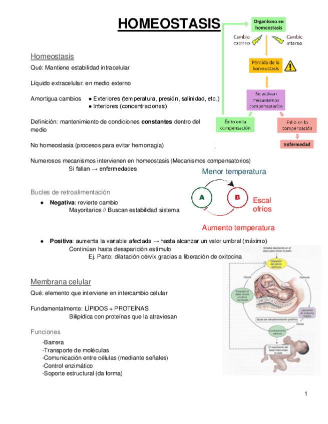 Miniatura del documento FISIOLOGIA-GENERAL.pdf