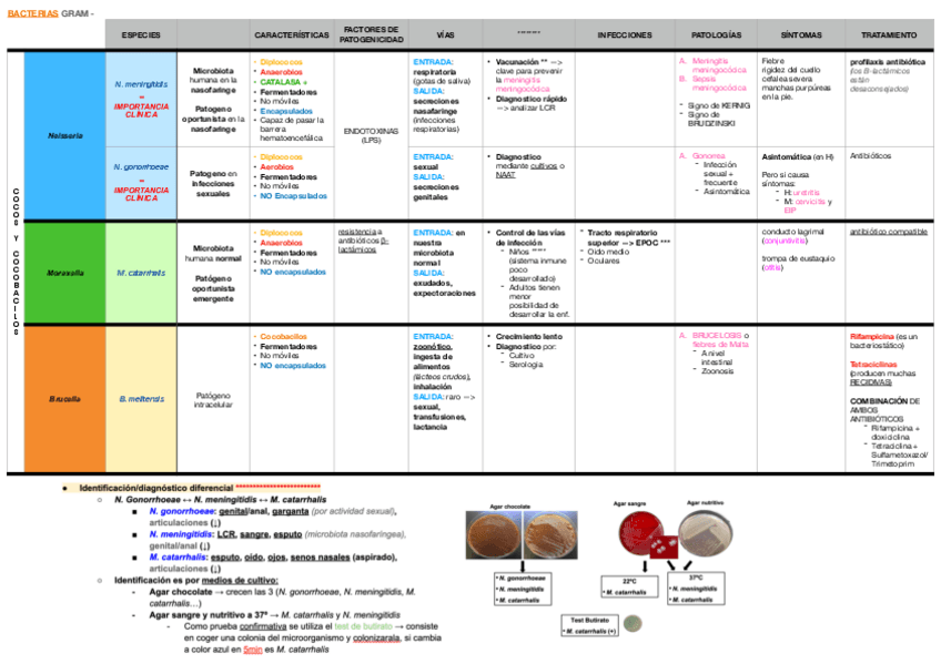 Miniatura del documento T20-21-22-MICRO.pdf