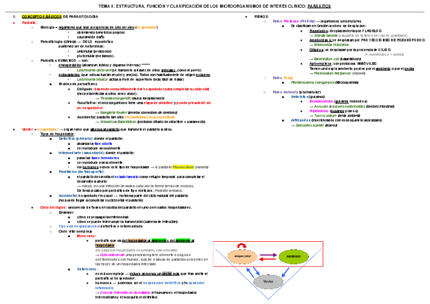 Miniatura del documento esquema-TEMA-5-micro.pdf