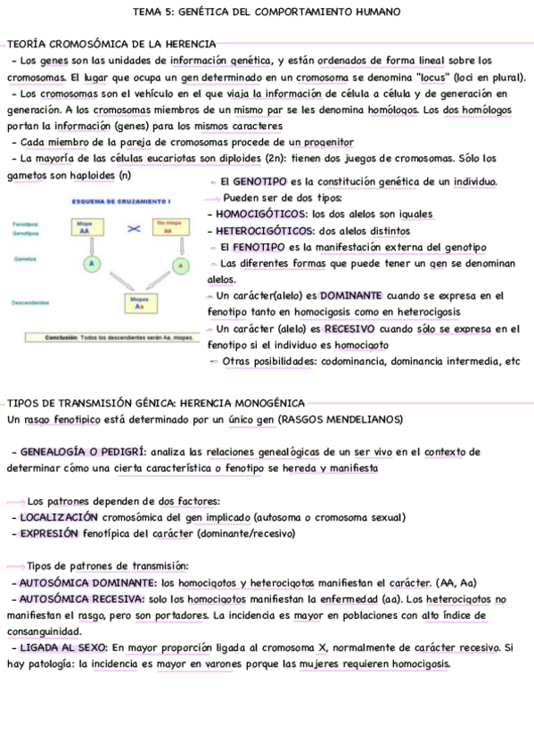 Miniatura del documento Tema-5..pdf