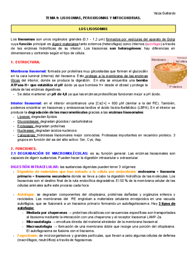 Miniatura del documento TEMA-9.pdf