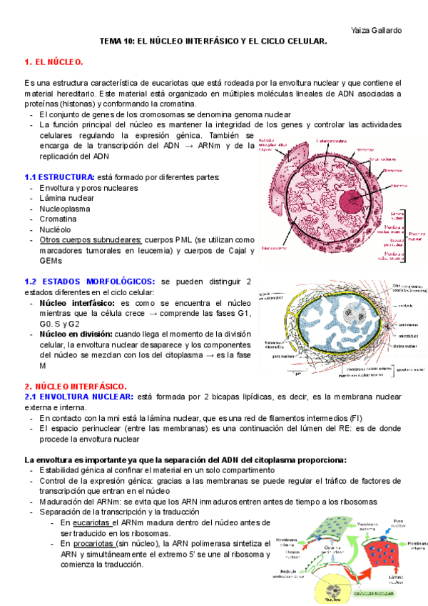 Miniatura del documento TEMA-10.pdf