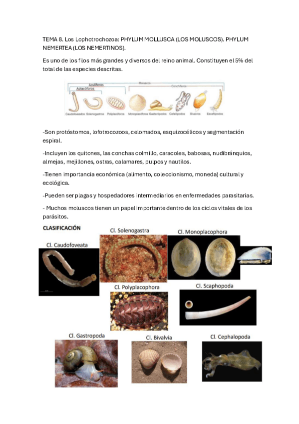 Miniatura del documento TEMA-8.pdf