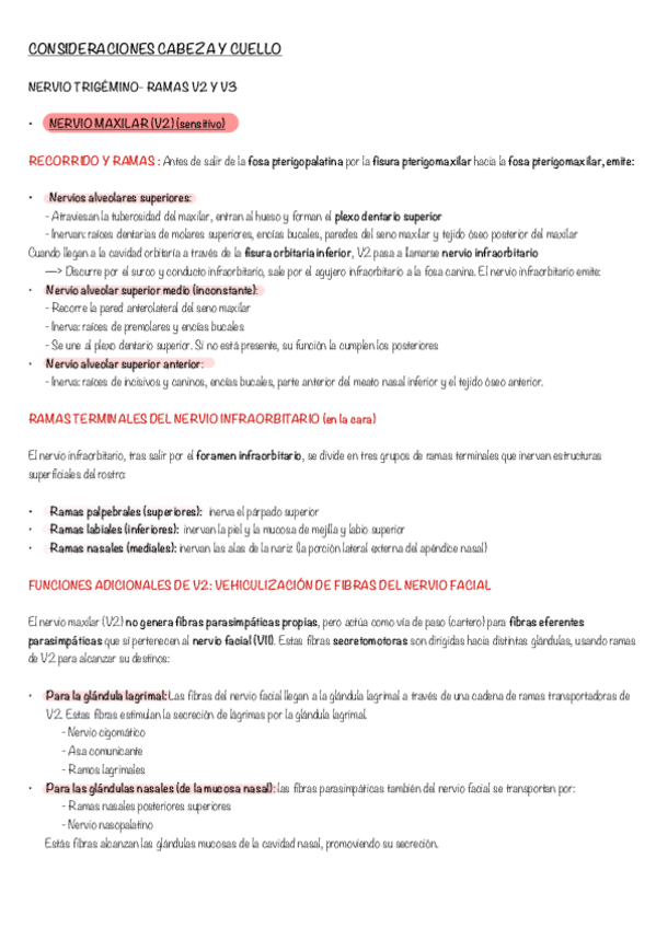 Miniatura del documento RESUMEN-CONSIDERACIONES-INERVACION-CABEZA-Y-CUELLO-I.pdf
