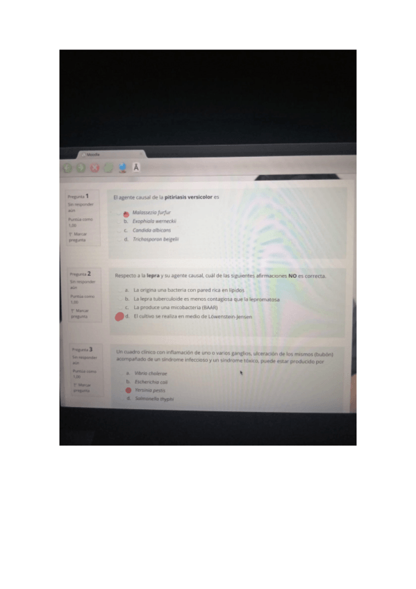 Miniatura del documento JUNIO-2021.pdf