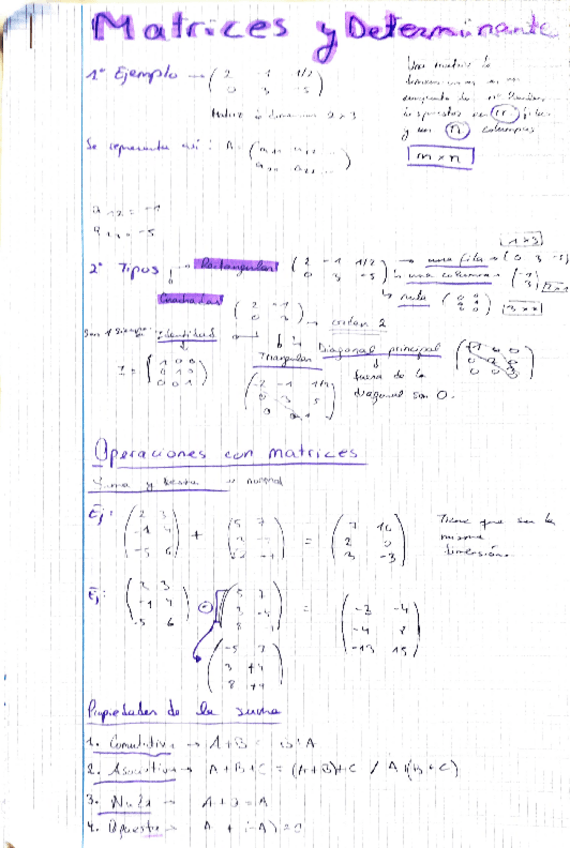 Miniatura del documento matrices-y-determinantes.pdf