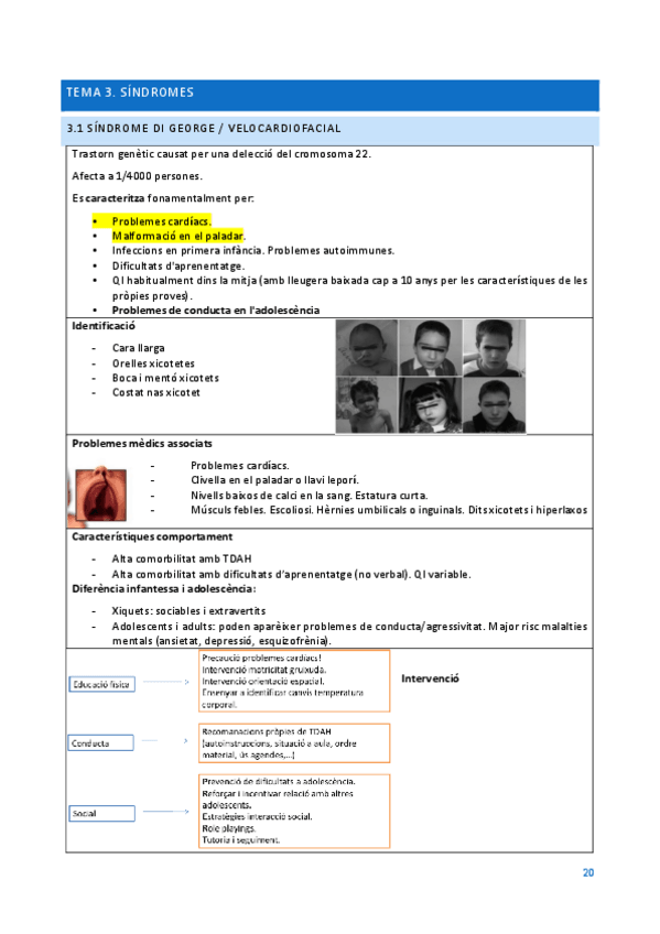 Miniatura del documento apuntes-DI-tema-3.pdf