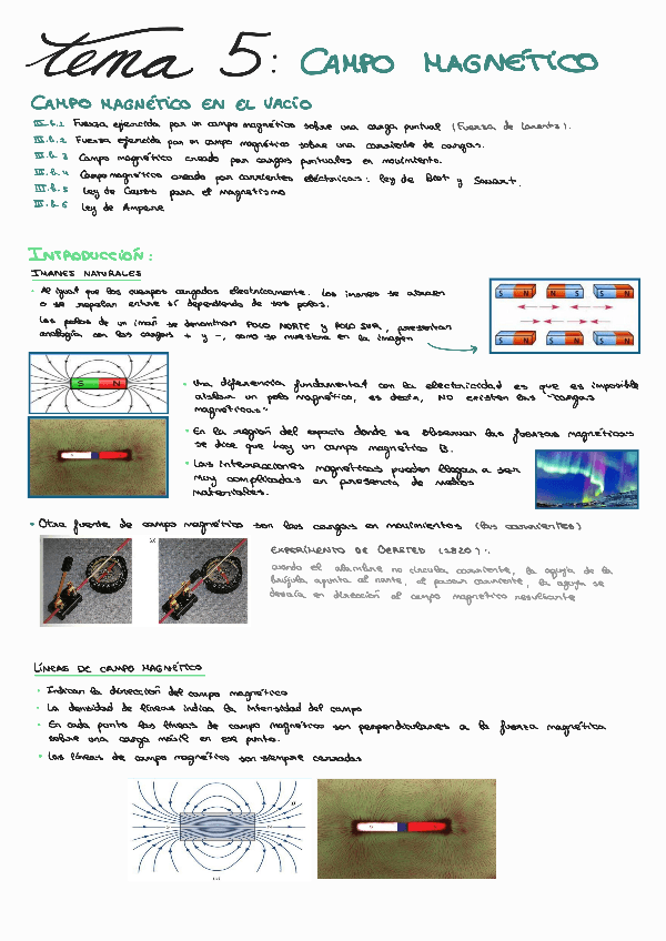 Miniatura del documento T5-Campo-magnetico.pdf
