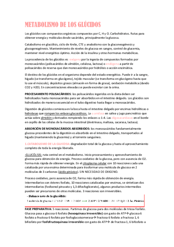 Miniatura del documento METABOLISMO-GLUCIDOS.pdf