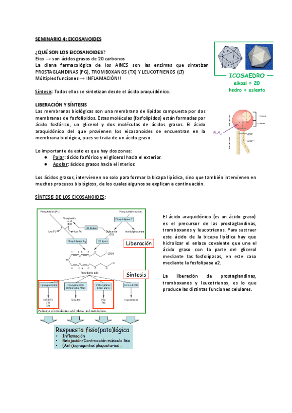 Miniatura del documento Seminario-4-EICOSANOIDES.pdf