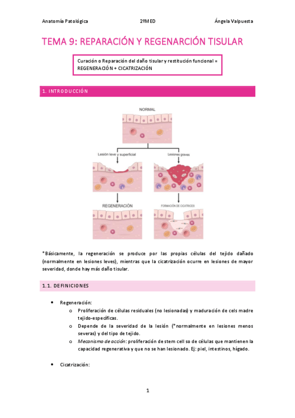Miniatura del documento T.9-ANATOMIA-PATOLOGICA.pdf