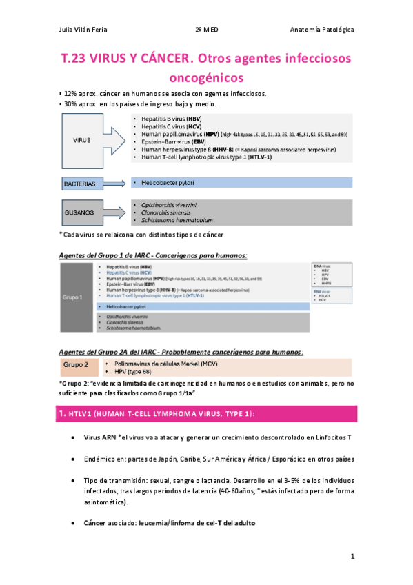 Miniatura del documento T.23-Virus-y-cancer.pdf
