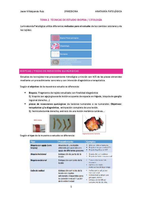 Miniatura del documento TEMA-2.-Anatomia-Patologica.pdf