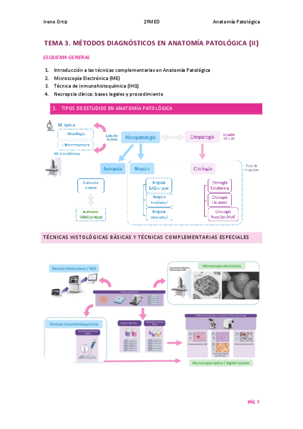 Miniatura del documento Tema-3-anatopato.pdf