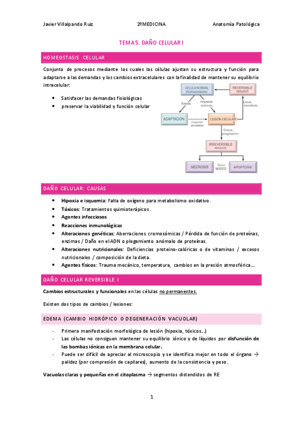 Miniatura del documento TEMA-5-Anatomia-Patologica.pdf