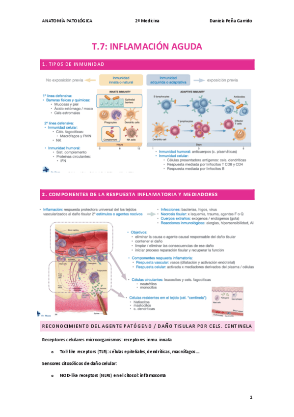 Miniatura del documento Tema-7-INFLAMACION-AGUDA.pdf