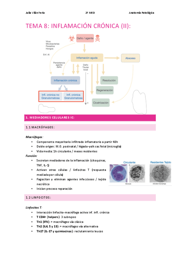 Miniatura del documento Tema-8-INFLAMACION-CRONICA-II.pdf
