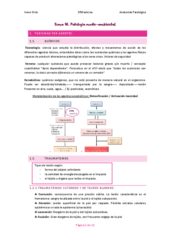Miniatura del documento Tema-16-Anatomia-Patologica.pdf
