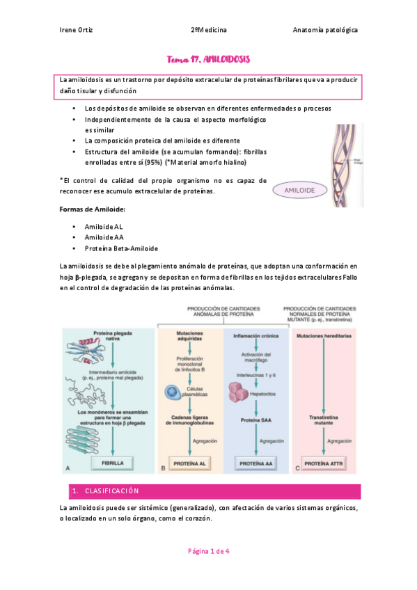 Miniatura del documento Tema-17.-ANATOPATO.pdf