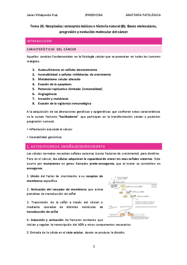 Miniatura del documento Tema-20-Anatomia-Patologica.pdf