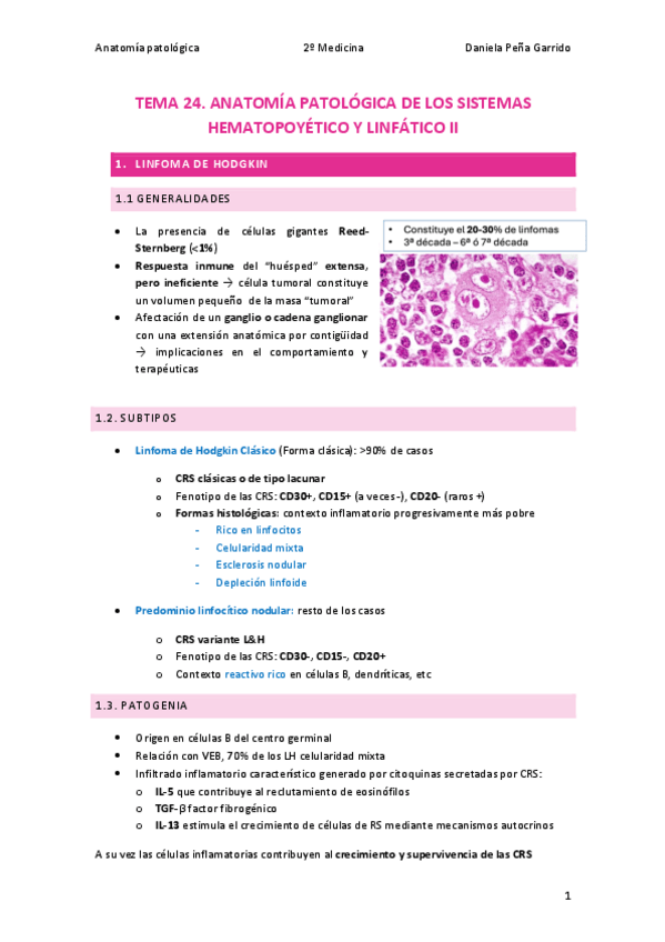 Miniatura del documento TEMA-24-II-PARTE.pdf