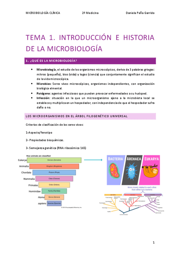 Miniatura del documento T.-1-MICRO.pdf