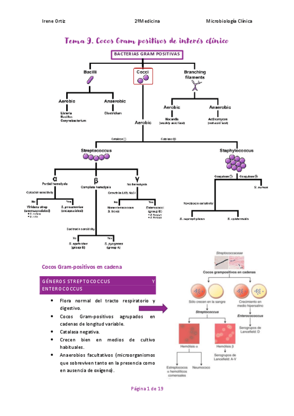 Miniatura del documento T.9-MICROBIO.pdf