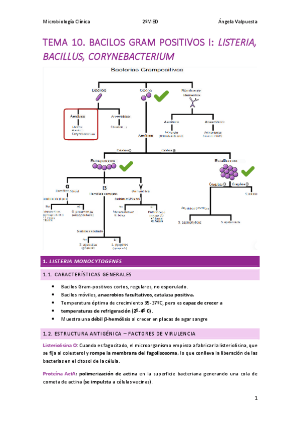 Miniatura del documento T.10-MICRO.pdf