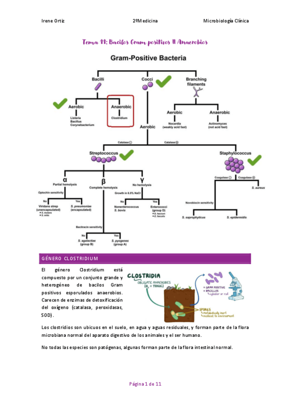 Miniatura del documento T.11-MICROBIOLOGIA.pdf