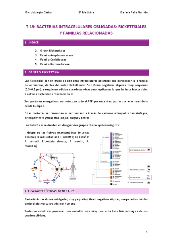 Miniatura del documento T.19-MICRO.pdf