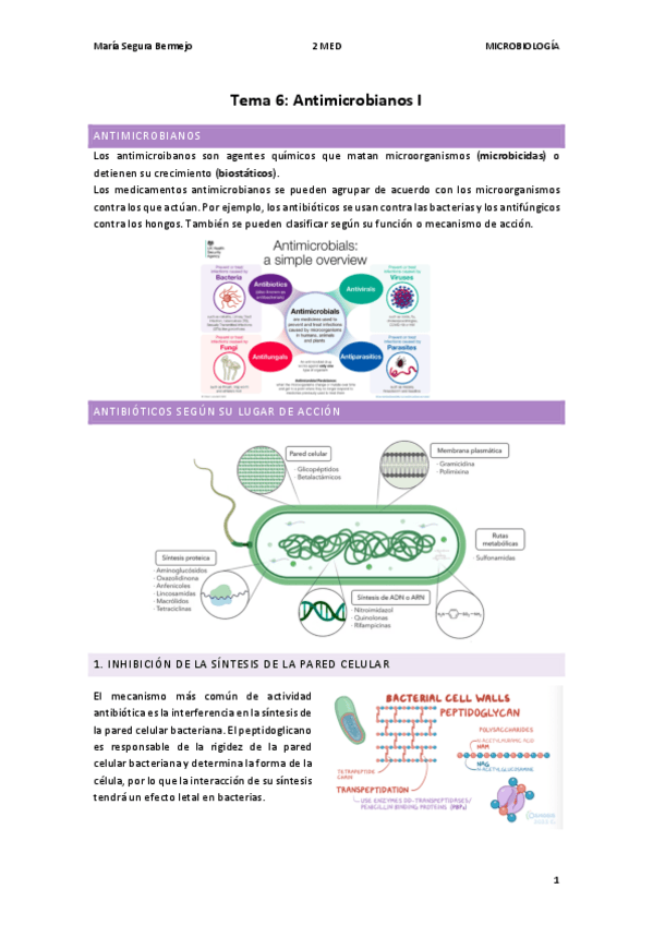 Miniatura del documento Tema-6.pdf