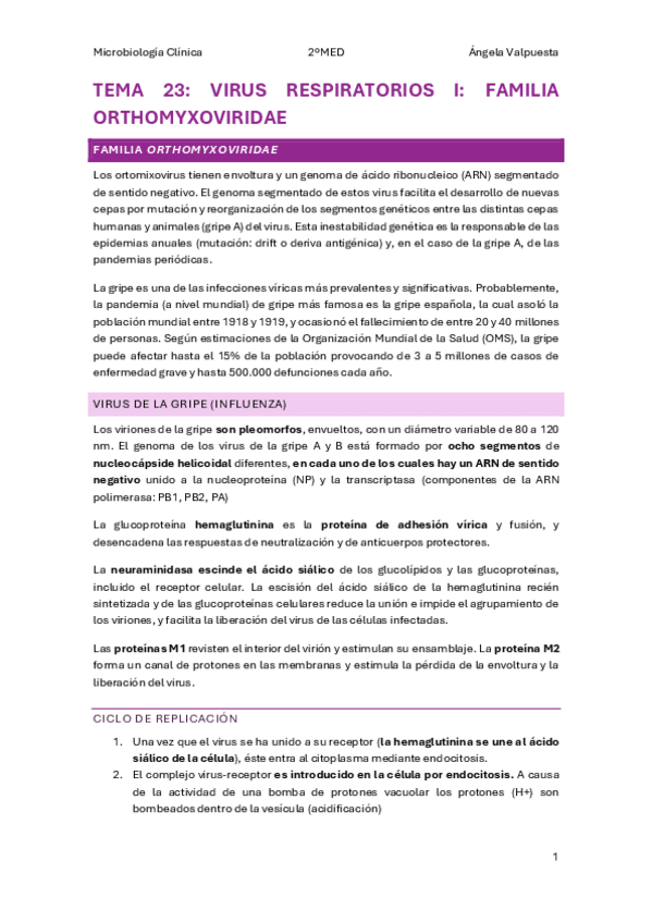 Miniatura del documento Tema-23-micro.pdf