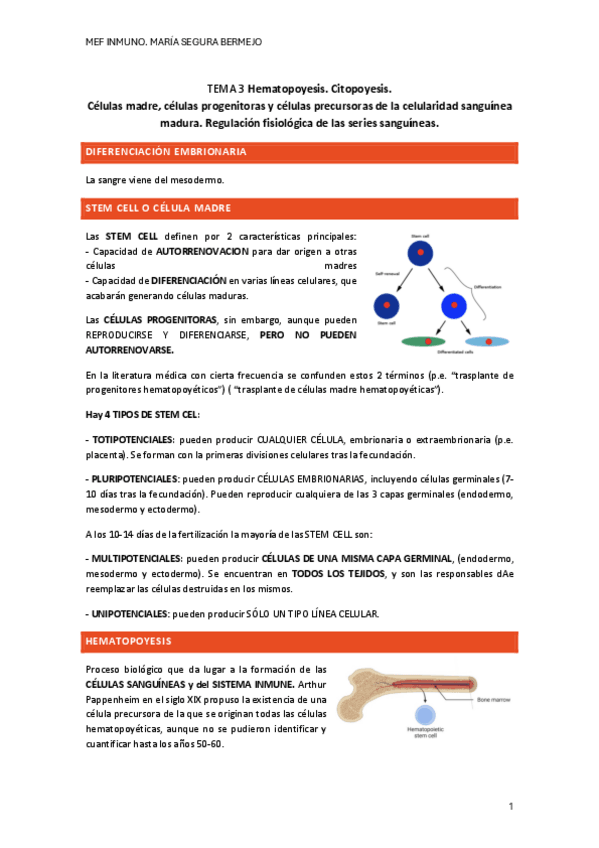 Miniatura del documento T.3-Hematopoyesis.pdf