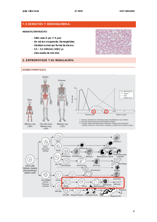Miniatura del documento T.5-Hematies-y-hemoglobina.pdf
