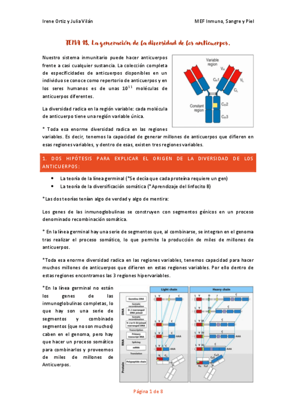 Miniatura del documento T.18-7-La-generacion-de-la-diversidad-de-los-anticuerpos.pdf