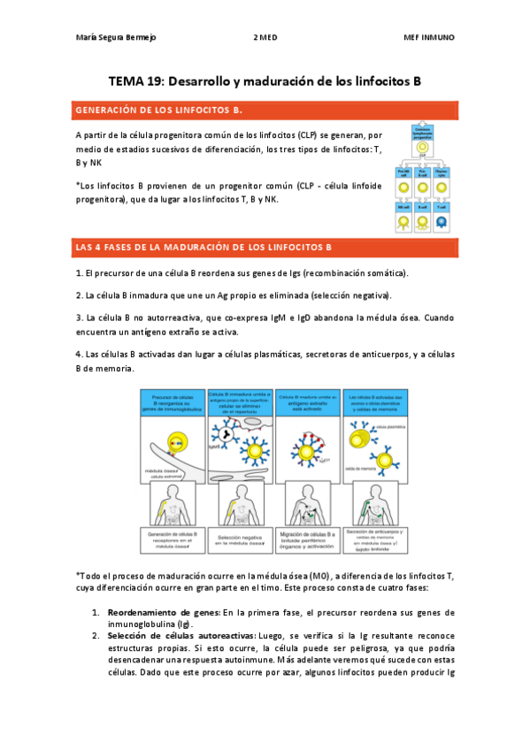 Miniatura del documento T.19-INMUNO.pdf