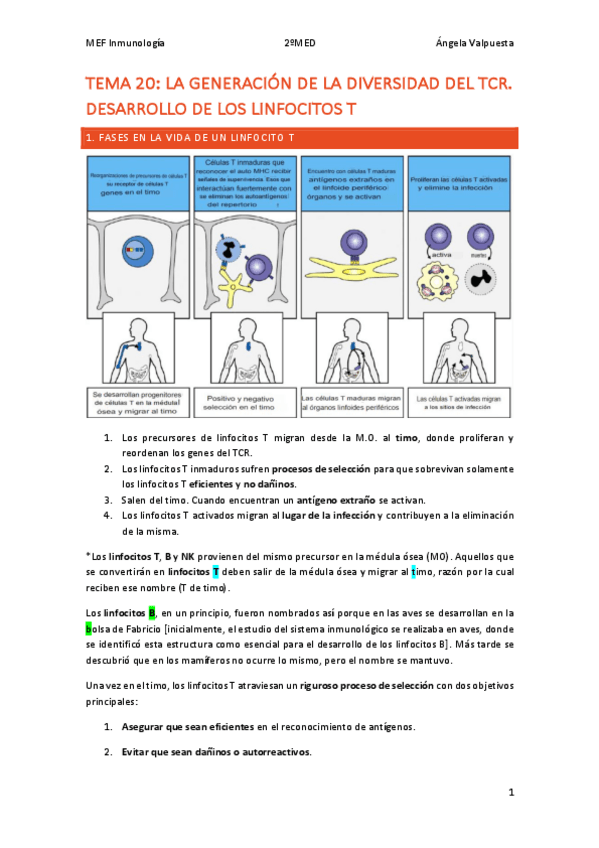 Miniatura del documento T.20-INMUNO.pdf