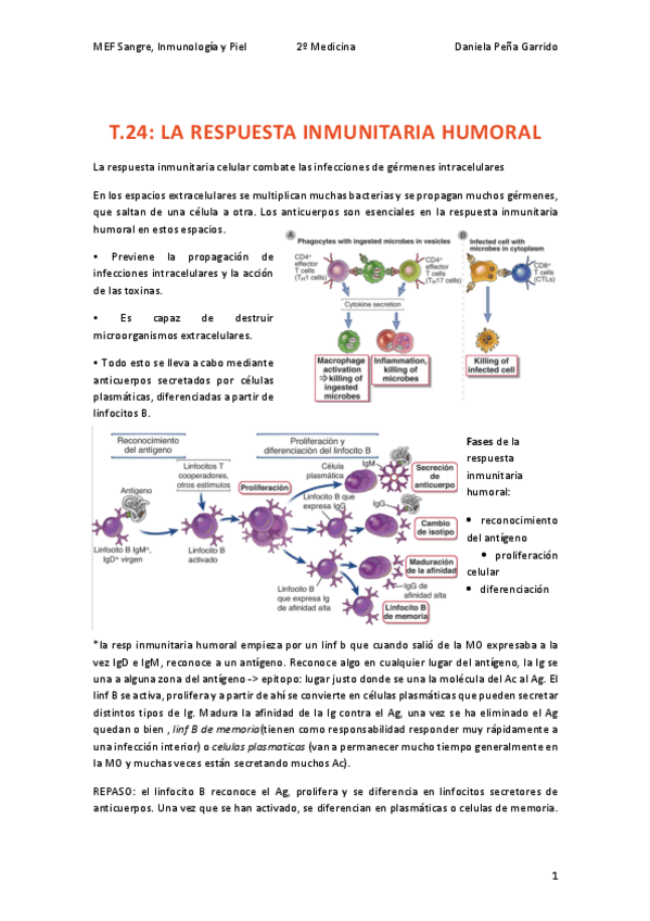 Miniatura del documento T.24-INMUNO.pdf