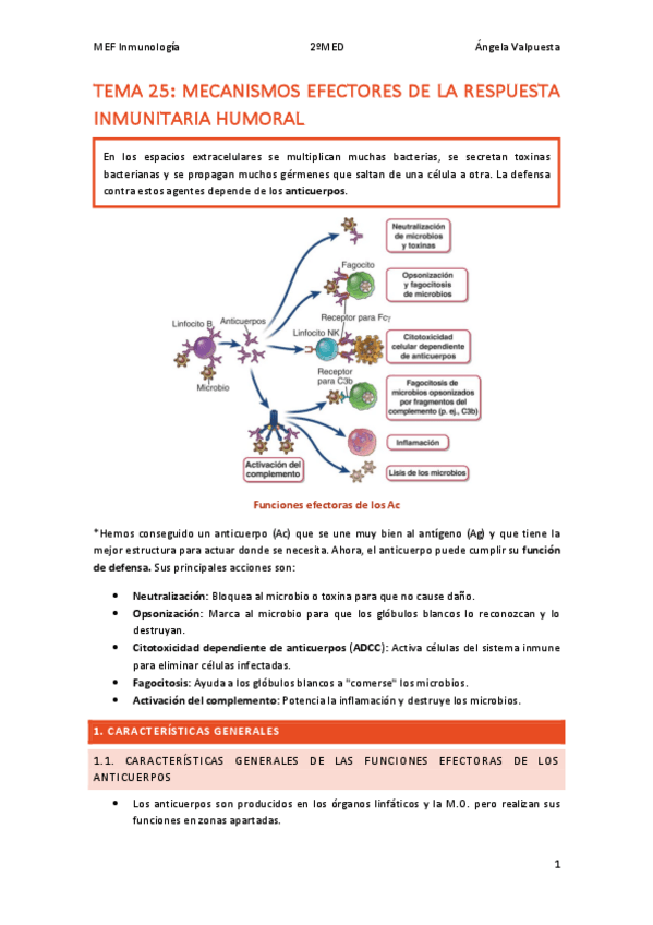 Miniatura del documento TEMA-25-INMUNO.pdf