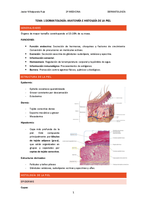 Miniatura del documento Tema-28-Inmuno.pdf