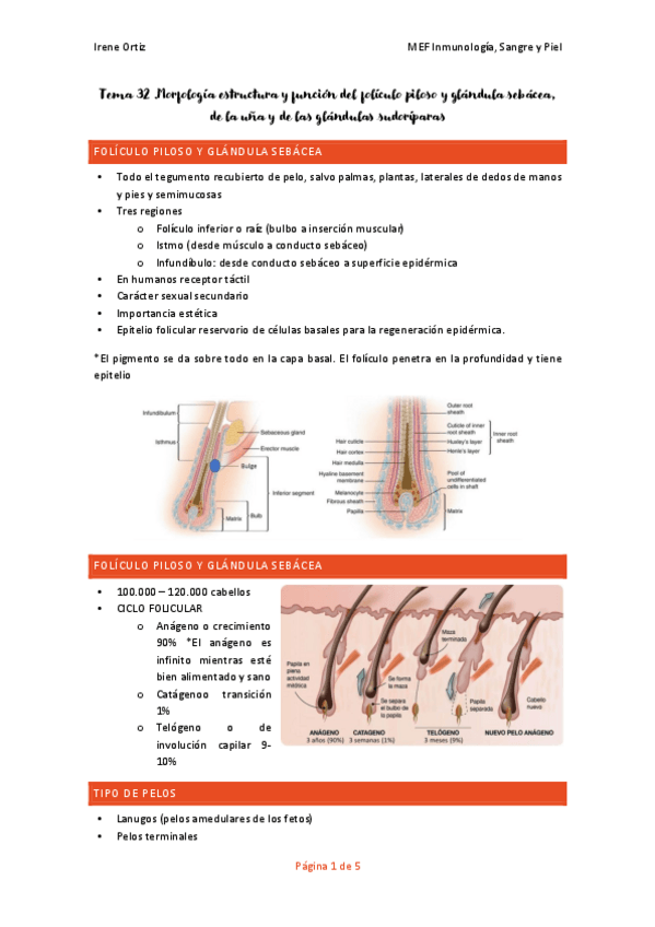 Miniatura del documento Tema-32-T.3-derma-inmuno.pdf