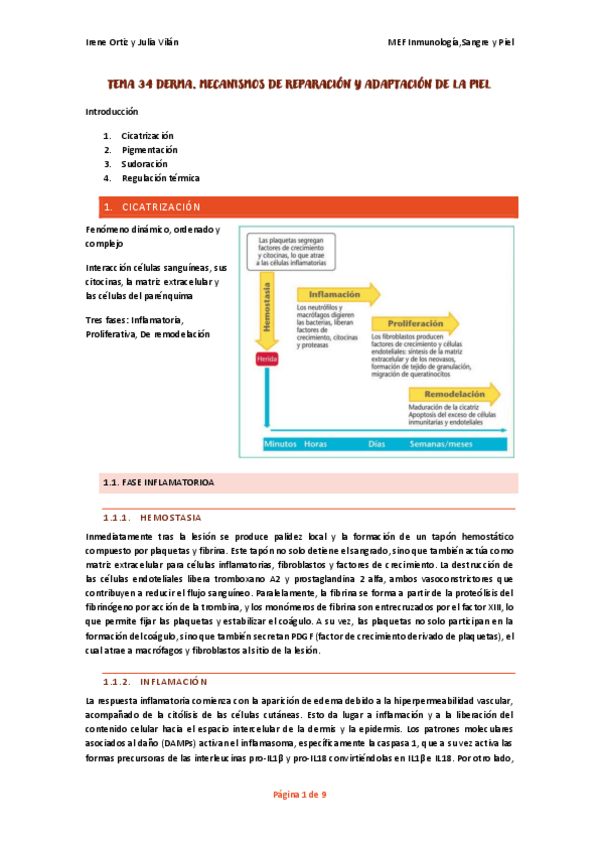 Miniatura del documento Tema-34-35-5-y-6-derma.pdf