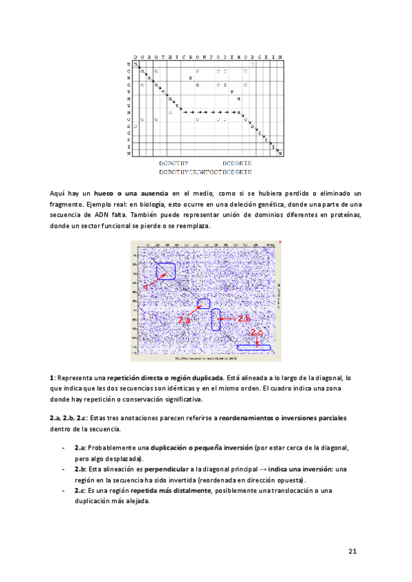 Miniatura del documento ciencia-de-datos-y-tecnicas-omicas-1-21-40.pdf