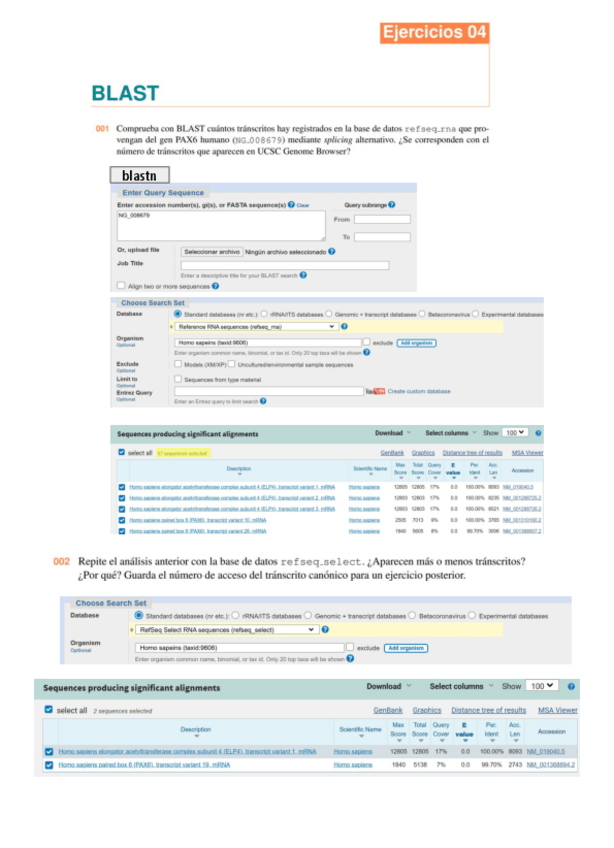 Miniatura del documento ejercicios-tema-4.pdf