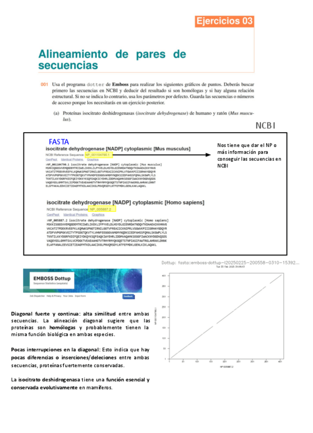 Miniatura del documento ejercicios-tema-3.pdf